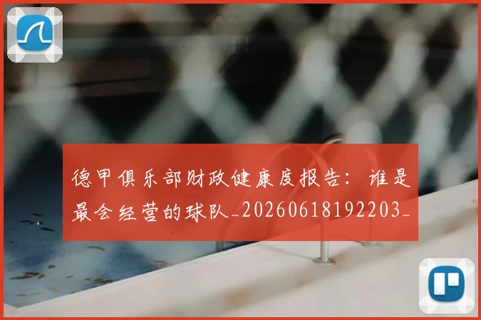 德甲俱乐部财政健康度报告：谁是最会经营的球队_20260618192203_20260722160858